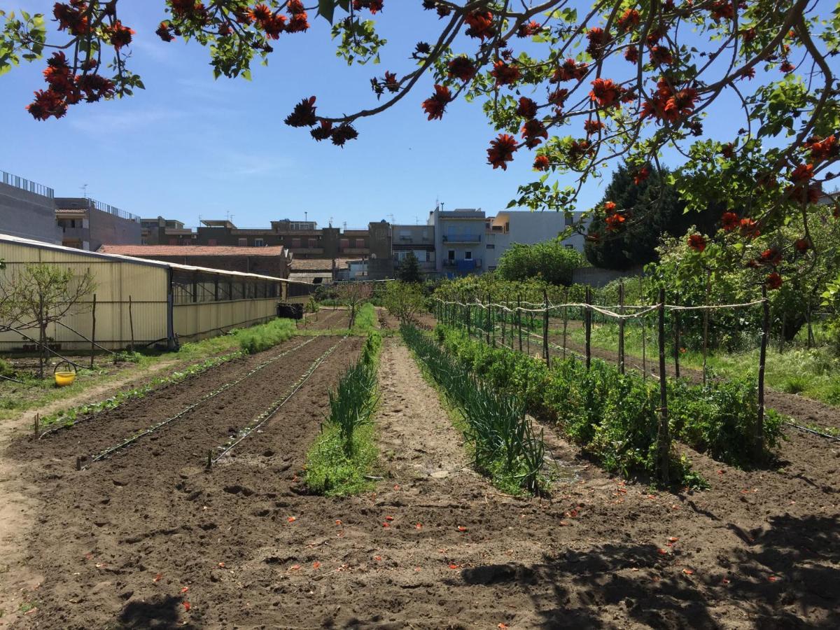 Ortosalato Agricamping Torregrotta المظهر الخارجي الصورة