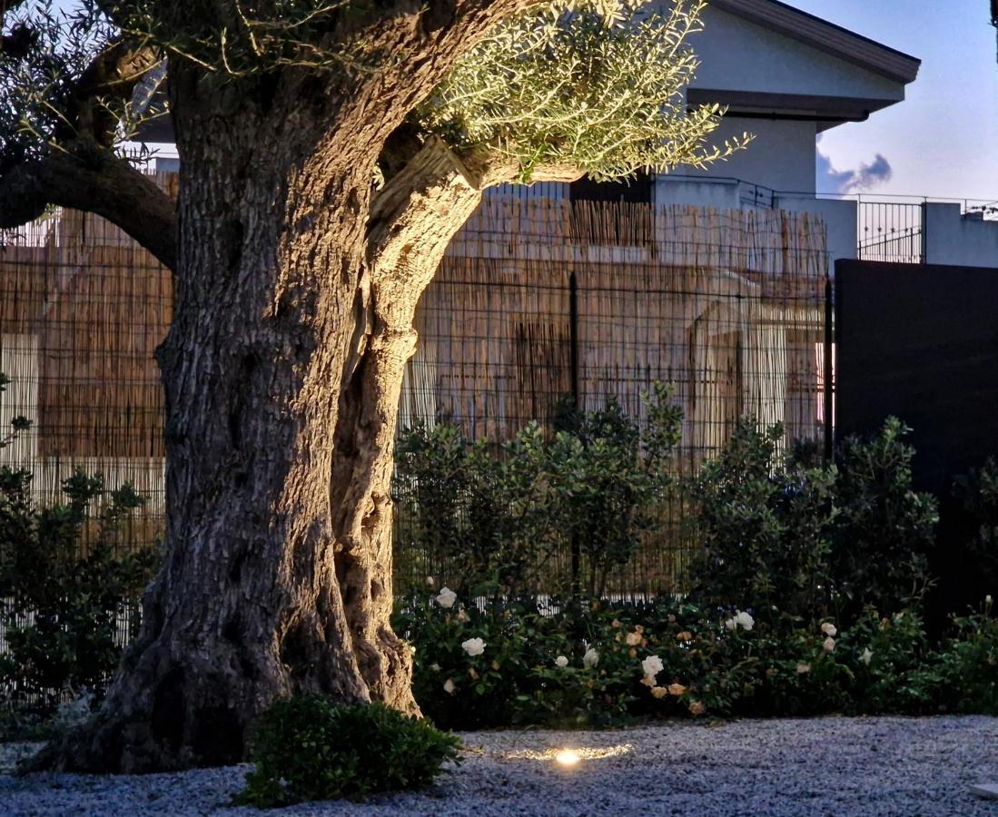Ortosalato Agricamping Torregrotta المظهر الخارجي الصورة